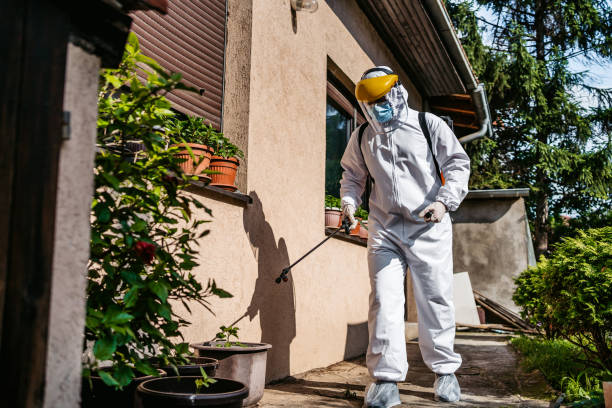 Best Wasp Removal Services  in , WA