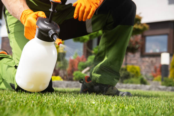 Best Affordable Pest Control Services  in , WA