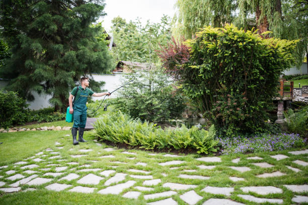 Best Exterminator Services  in , WA