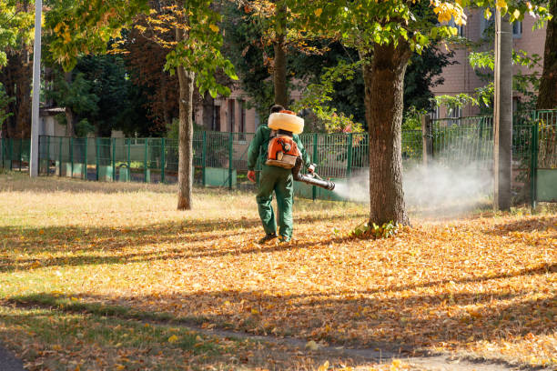 Best Cockroach Control Services  in , WA