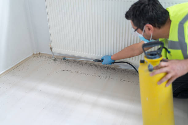 Best Affordable Pest Control Services  in , WA